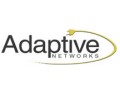 Adaptive Networks